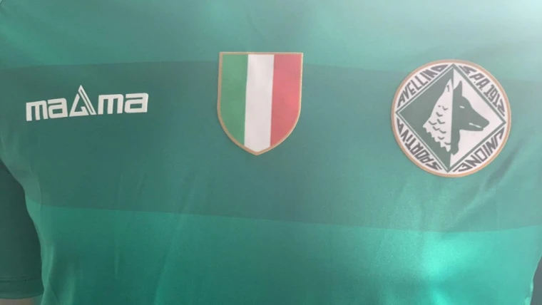 Avellino, una stagione da sogno: dal flop Pazienza alla promozione in Serie B con Biancolino