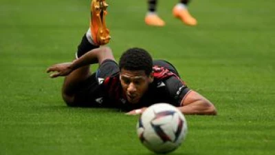 todibo