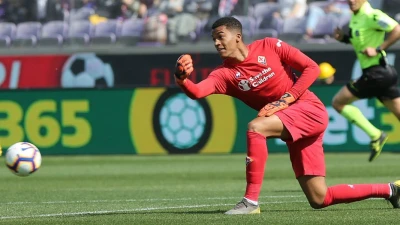Fiorentina, Lafont vuole lasciare il Nantes. Niente riscatto, il portiere tornerà in Italia